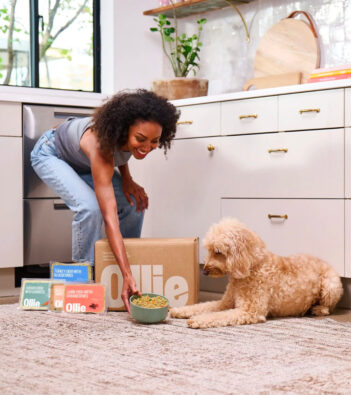Should You Mix Dog Foods? 5 Tips for a Seamless Transition to Fresh Meals