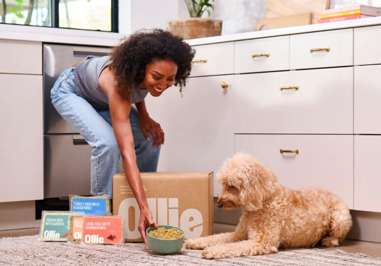 Should You Mix Dog Foods? 5 Tips for a Seamless Transition to Fresh Meals
