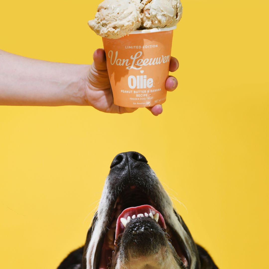 The Fresh Dog Food Brand, Ollie, Just Announced a Collab with Van Leeuwen and We’re Struggling to Keep Cool