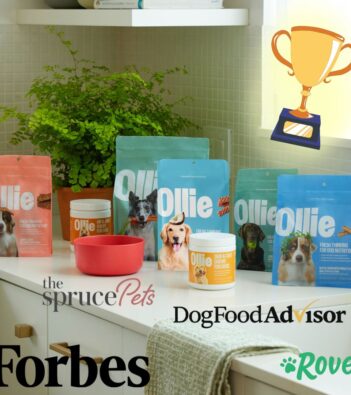 Pet Food Industry Darling, Ollie, Is Racking Up Accolades Commensurate With Their Customer Love