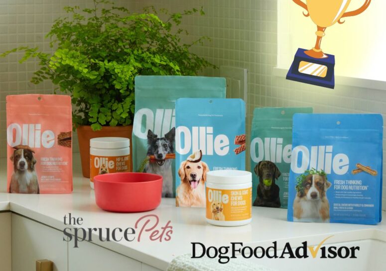 Pet Food Industry Darling, Ollie, Is Racking Up Accolades Commensurate With Their Customer Love