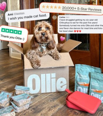 Ollie’s Human-Grade Dog Food Has Our 4-Legged Best Friends (Plus Their Parents) Gushing