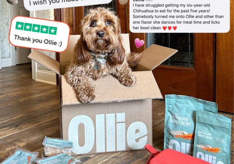 Ollie’s Human-Grade Dog Food Has Our 4-Legged Best Friends (Plus Their Parents) Gushing