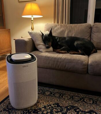 This Air Purifier Is Winning Over Pet Owners Who Are Tired of Constant Hair and Dust