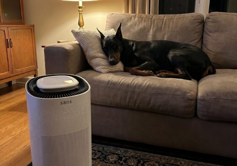 This Air Purifier Is Winning Over Pet Owners Who Are Tired of Constant Hair and Dust
