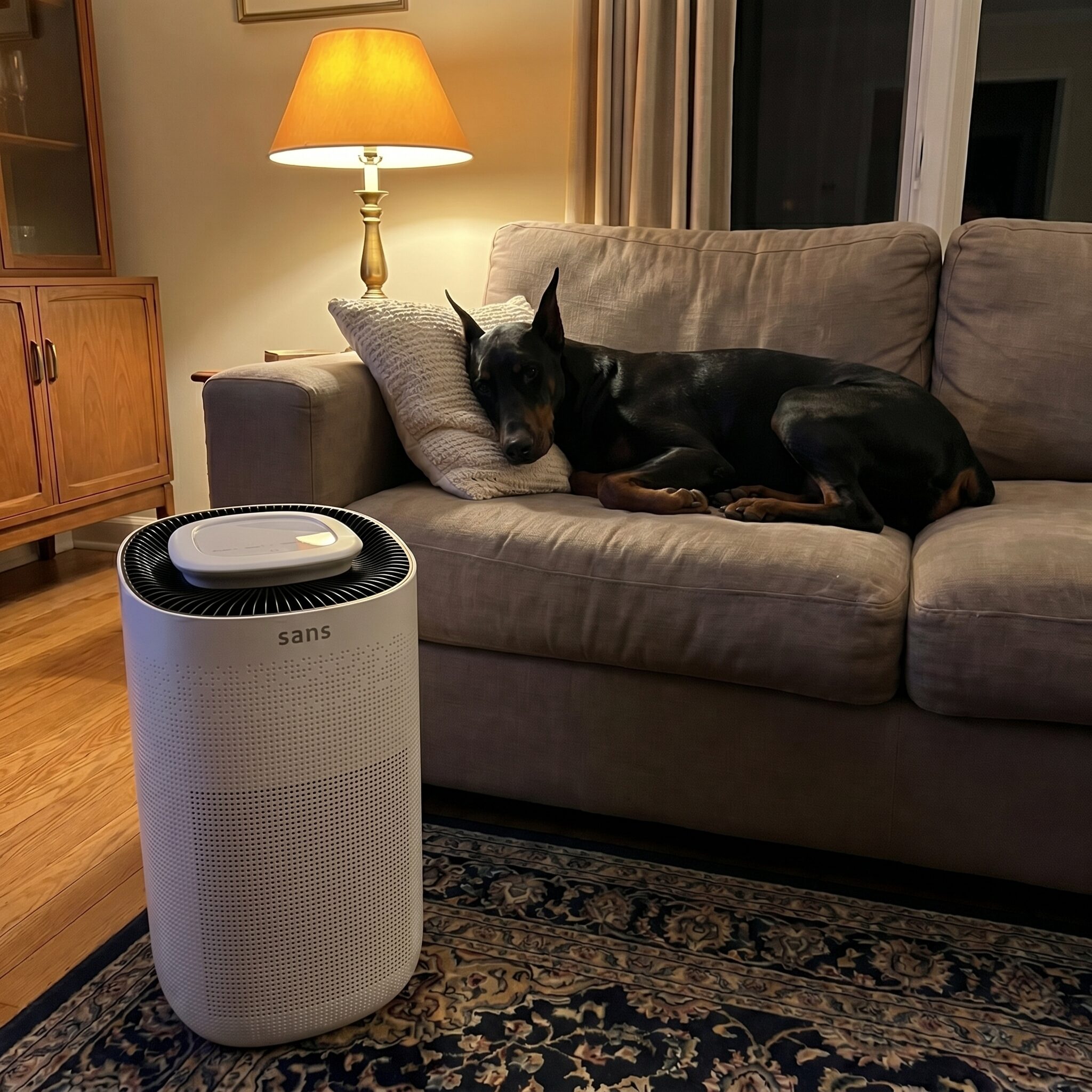 This Air Purifier Is Winning Over Pet Owners Who Are Tired of Constant Hair and Dust